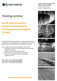 Brochure formation : les prix du gaz et de l’électricité - gestion du risque